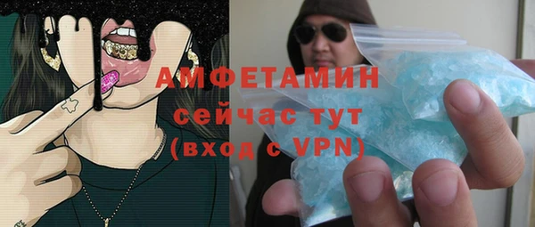 ГАЛЛЮЦИНОГЕННЫЕ ГРИБЫ Корсаков
