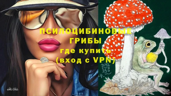 прущие крисы Краснослободск