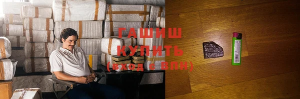ГАЛЛЮЦИНОГЕННЫЕ ГРИБЫ Корсаков