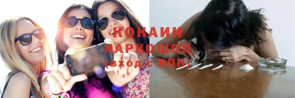 ГАЛЛЮЦИНОГЕННЫЕ ГРИБЫ Корсаков