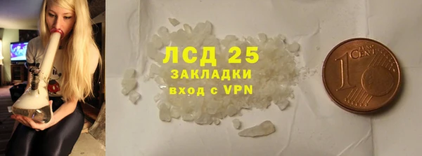 ГАЛЛЮЦИНОГЕННЫЕ ГРИБЫ Корсаков