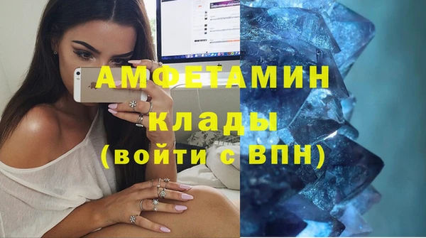 ГАЛЛЮЦИНОГЕННЫЕ ГРИБЫ Корсаков