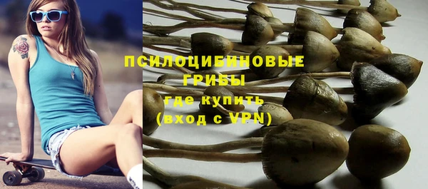 ГАЛЛЮЦИНОГЕННЫЕ ГРИБЫ Корсаков