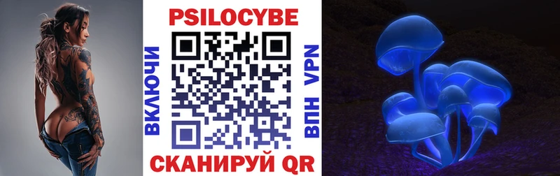 Купить где  Гусев  Галлюциногенные грибы ЛСД 